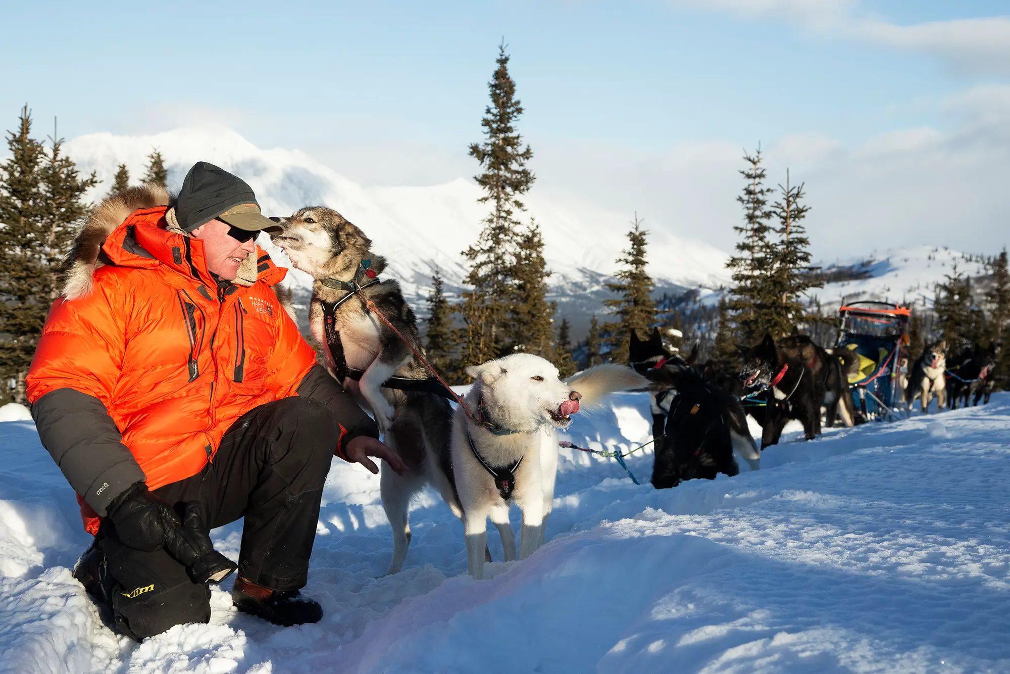 Kiruna Sleddog Tours